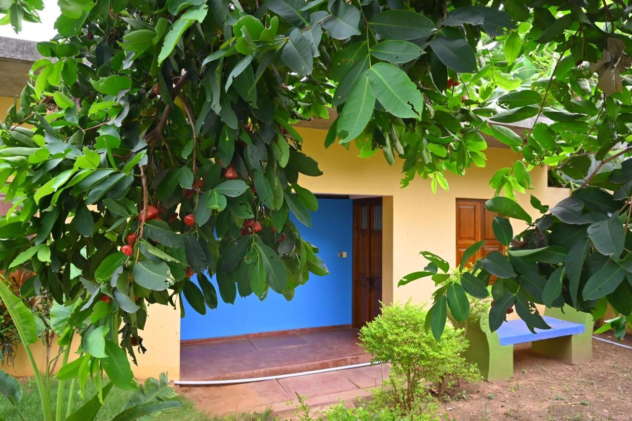 Les Boganveillea Heritage Guest House Auroville Eksteriør billede